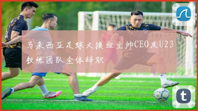 马来西亚足球大换血主帅CEO及U23教练团队全体辞职